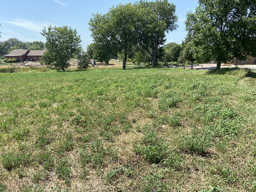 #1: View of 43 North 96 West, in the foreground, looking west-southwest.