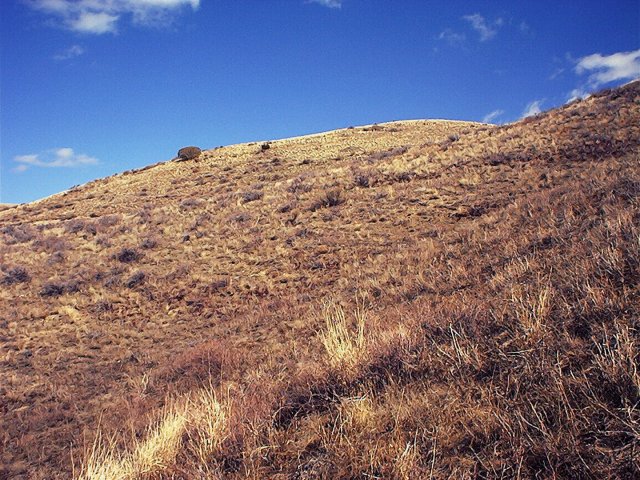 East: Up the slope to the road.  You can see the cut at the left.