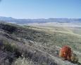 #2: looking west into northern Utah