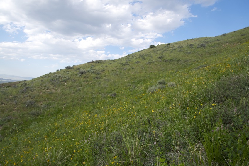 View North (along the hillside)