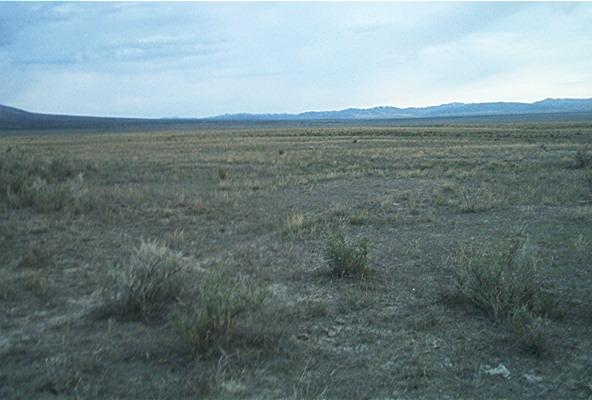 Looking North From the Confluence