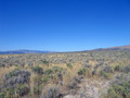 #4: View West