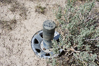 #5: Ground cover at the confluence point