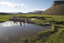 #6: I had to use this makeshift 'bridge' to cross a creek, before walking across the marshy area beyond