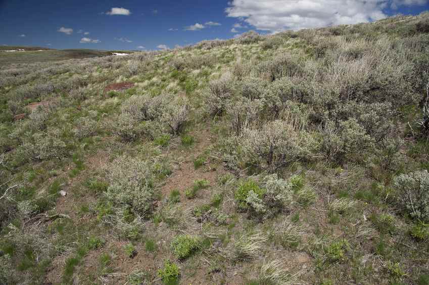 The confluence point lies on a sagebrush-covered hillside