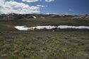 #5: View West (towards the Elk Mountain range, spanning the Nevada-Idaho State Line)