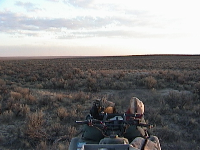 view looking south from the confluence of 42N117W