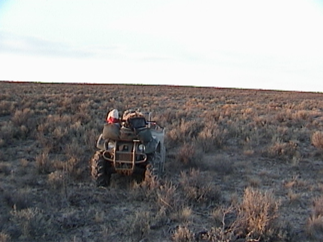 view looking north from the confluence of 42N117W