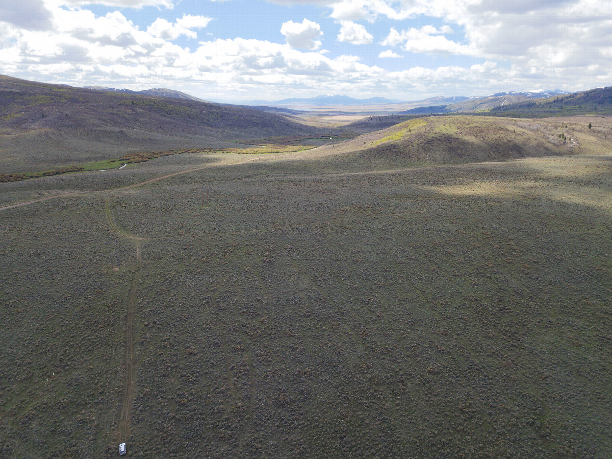 View South, from 120m above the point