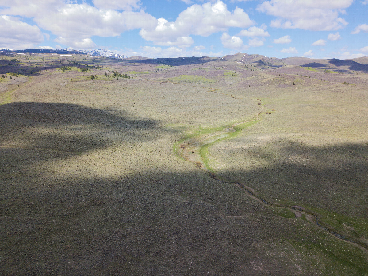 View West, from 120m above the point