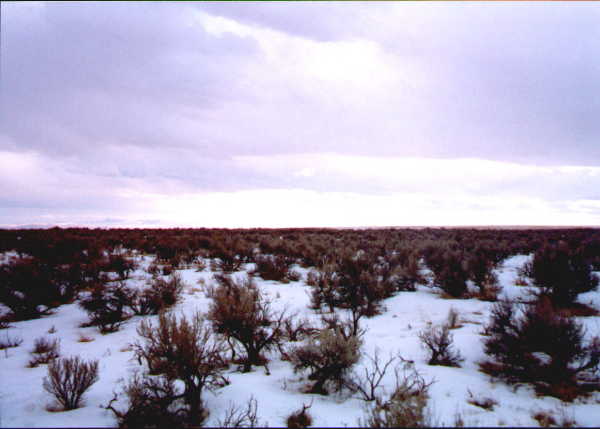 View south from confluence