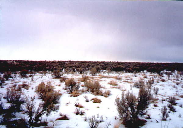 View north from confluence