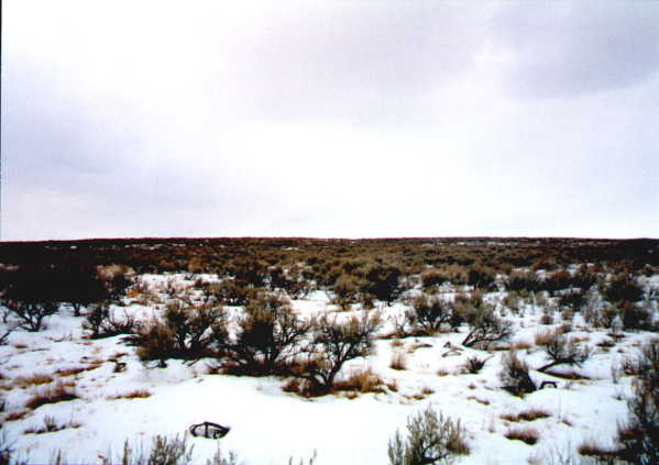 View east from confluence