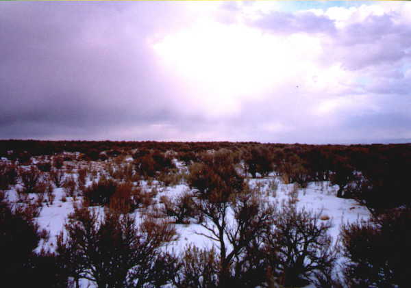 View west from confluence