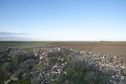 #7: Looking east from near the confluence point, we can see how the area nearby has been cleared for farming 