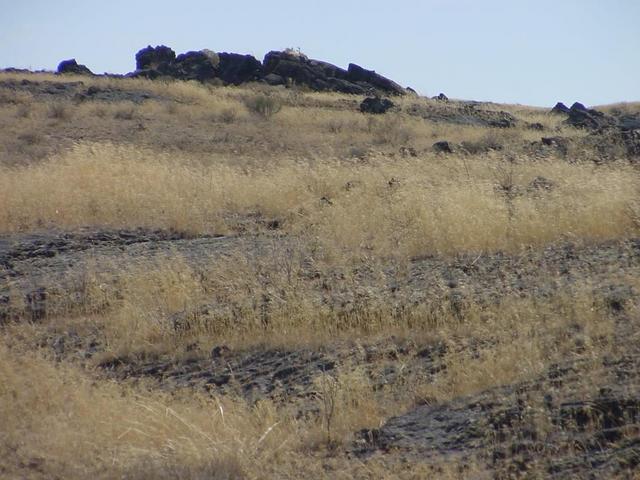 Looking south from 43N 114W