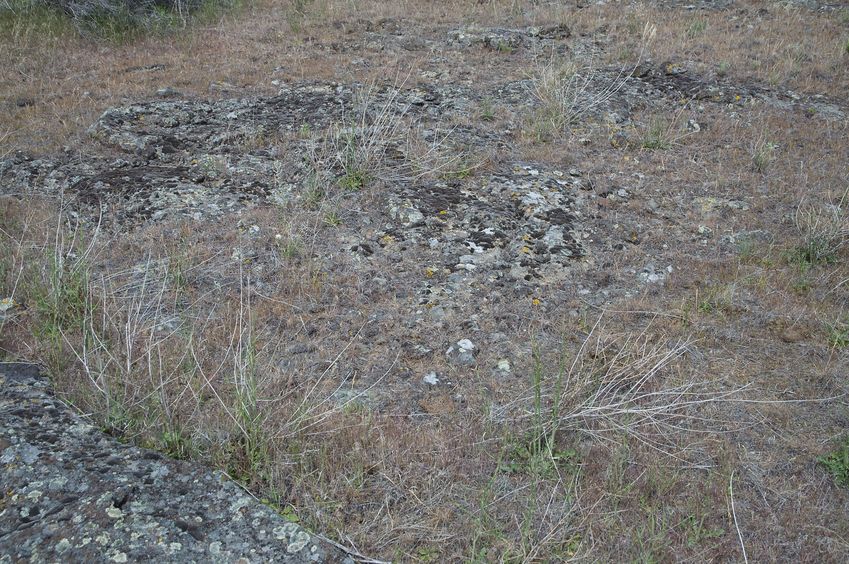 The confluence point lies in a lava field turned sagebrush desert