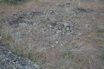 #1: The confluence point lies in a lava field turned sagebrush desert