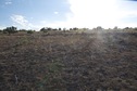 #5: View West (across the top of the hill, into the late afternoon sun)