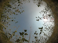 #6: Fisheye