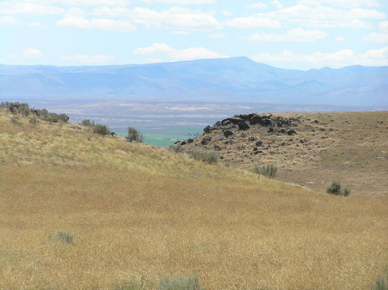 View to the southwest from the confluence point.