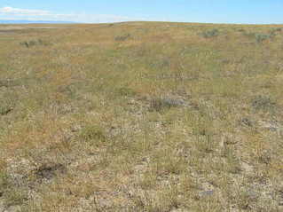 #1: The confluence of 43 North 116 West lies in the foreground of this image, looking north-northwest.