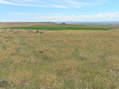 #4: View to the south from the confluence point.