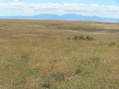 #6: View to the west from the confluence point.