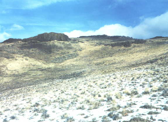 looking Northeast from confluence