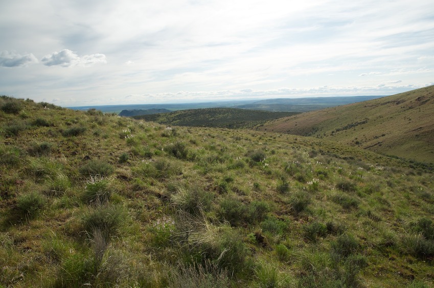 View West (towards Jordan Valley)