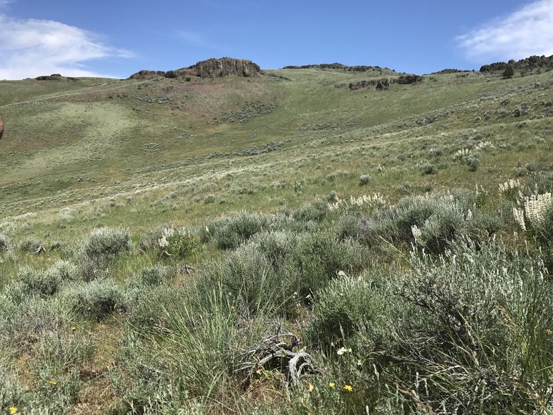 The confluence point of 43 North 117 West, in the foreground, looking northeast.