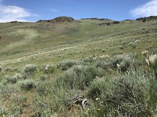 #1: The confluence point of 43 North 117 West, in the foreground, looking northeast.