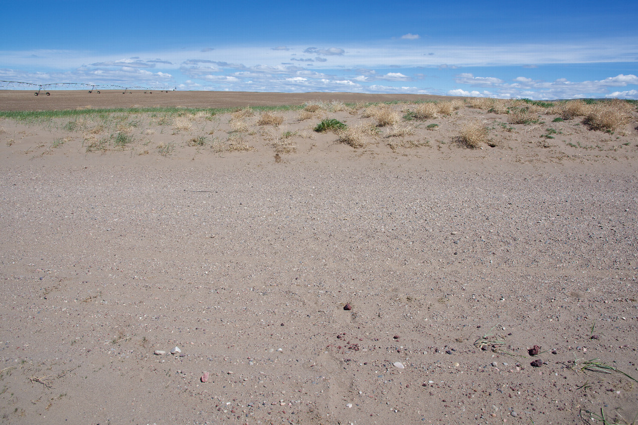 The confluence point lies on a sandy rural road, that runs West-to-East