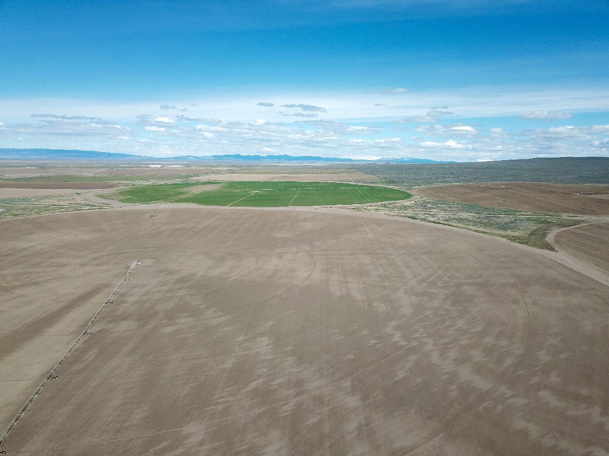 View North, from 120m above the point