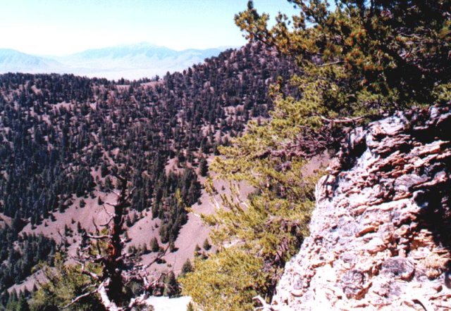 looking west, with Idaho's Lost River Range in the distance