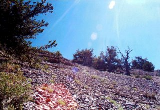 #1: looking east, back up to the ridge, into the sun