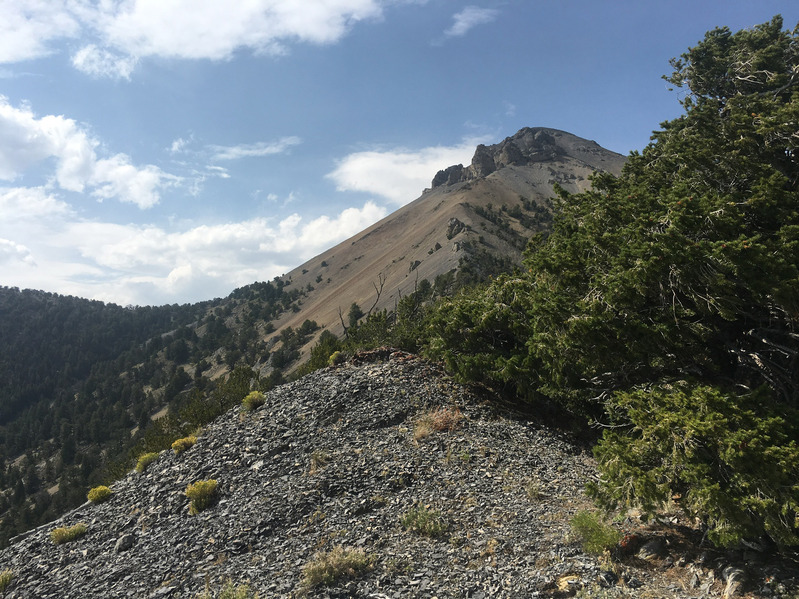 View North from top of ridge