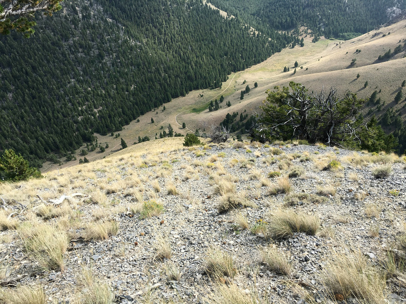 Top of ridge looking down trail