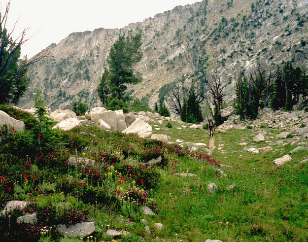 The wild flowers were everywhere and every color  - Tracy just happend to be walking up the trail when we took the shot!