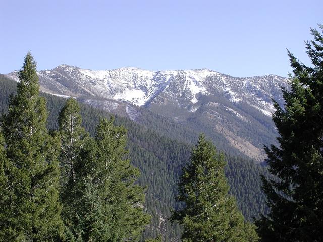 Looking east from the confluence