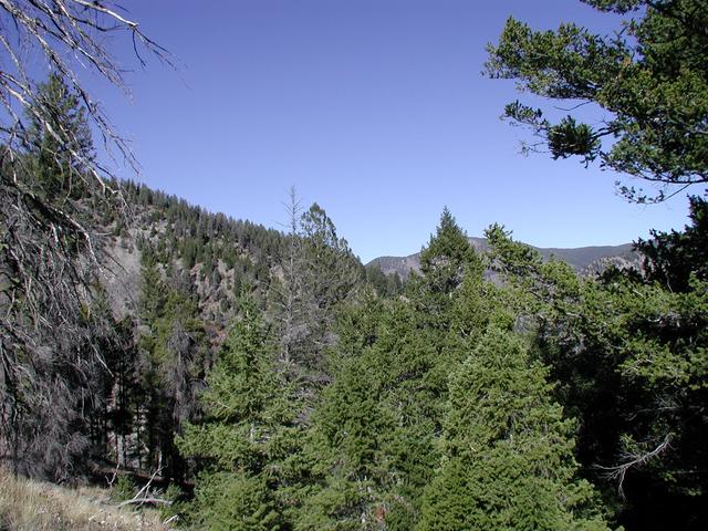 Looking north from the confluence