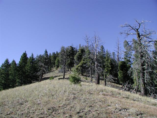 Looking west from the confluence