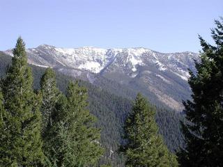 #1: Looking east from the confluence