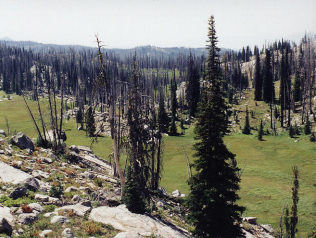 Looking south, with Squaw Lake barely visible in the distance