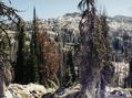 #4: Looking east, from about 30 feet above confluence