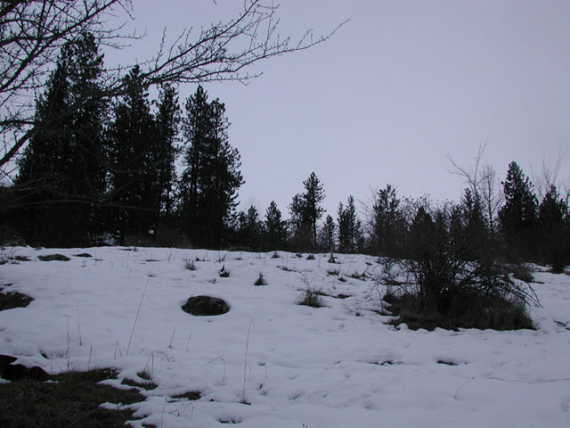 Looking Up the Gulch