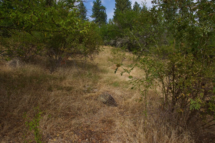 The confluence point lies on a slope, on the north bank of Butcher Creek