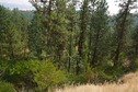 #7: Looking down the slope towards the point, from the farm field, 0.13 miles away 