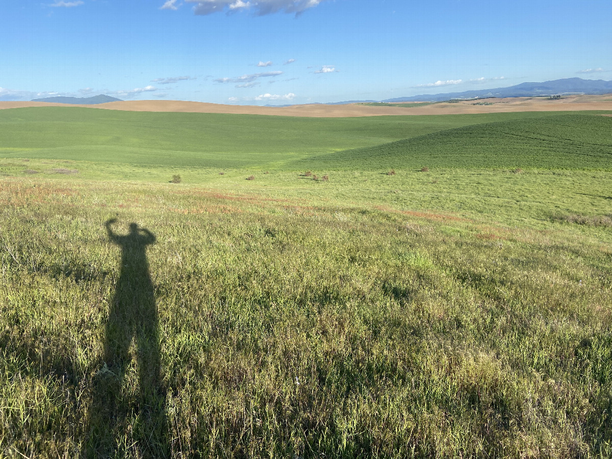 The confluence point lies on the slope in the distance, straight up from the shadow of my head. 