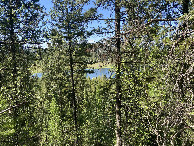 #2: View to the north from the confluence point. 